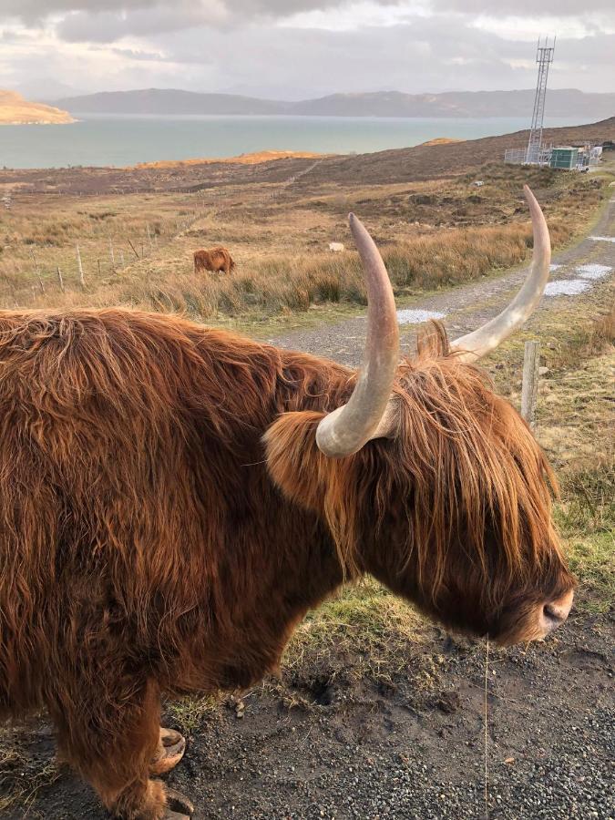 Tiny Home In Isle Of Skye - Pet Friendly Elgol Eksteriør bilde